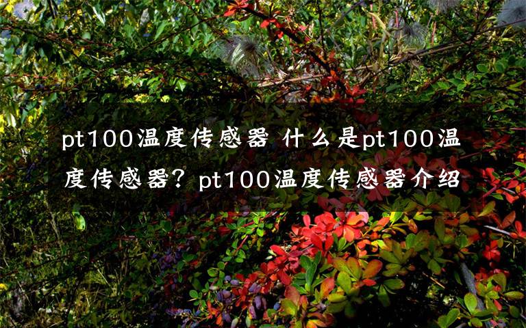 pt100溫度傳感器 什么是pt100溫度傳感器？pt100溫度傳感器介紹【詳解】