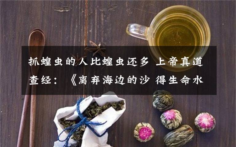 抓蝗蟲的人比蝗蟲還多 上帝真道查經(jīng)：《離棄海邊的沙 得生命水的泉源》——〈啟20:8-9〉