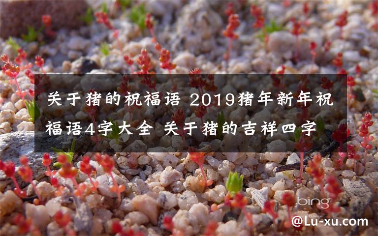 關(guān)于豬的祝福語 2019豬年新年祝福語4字大全 關(guān)于豬的吉祥四字詞語有哪些