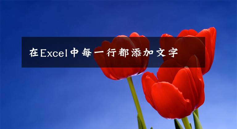 在Excel中每一行都添加文字