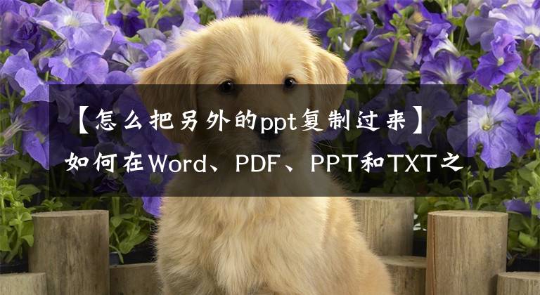 【怎么把另外的ppt復(fù)制過(guò)來(lái)】如何在Word、PDF、PPT和TXT之間轉(zhuǎn)換！白領(lǐng)一族轉(zhuǎn)身