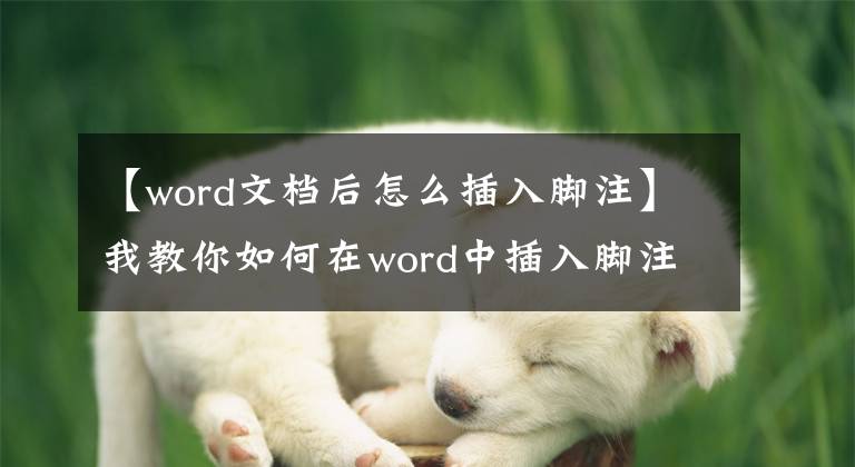 【word文檔后怎么插入腳注】我教你如何在word中插入腳注