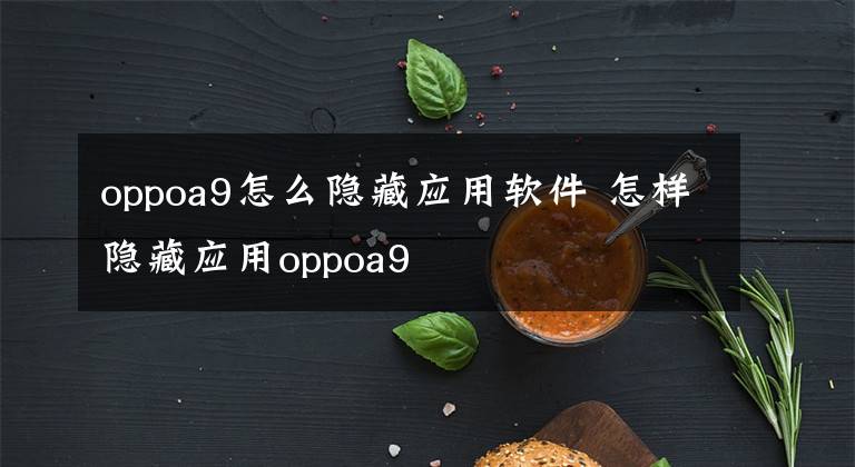 oppoa9怎么隱藏應(yīng)用軟件 怎樣隱藏應(yīng)用oppoa9