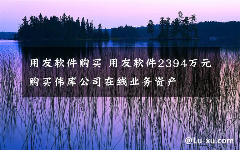 用友軟件購買 用友軟件2394萬元購買偉庫公司在線業(yè)務(wù)資產(chǎn)