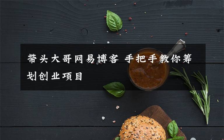 帶頭大哥網(wǎng)易博客 手把手教你籌劃創(chuàng)業(yè)項目