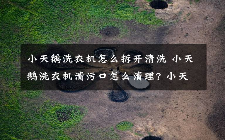 小天鵝洗衣機怎么拆開清洗 小天鵝洗衣機清污口怎么清理? 小天鵝排水閥怎么手動拉開?