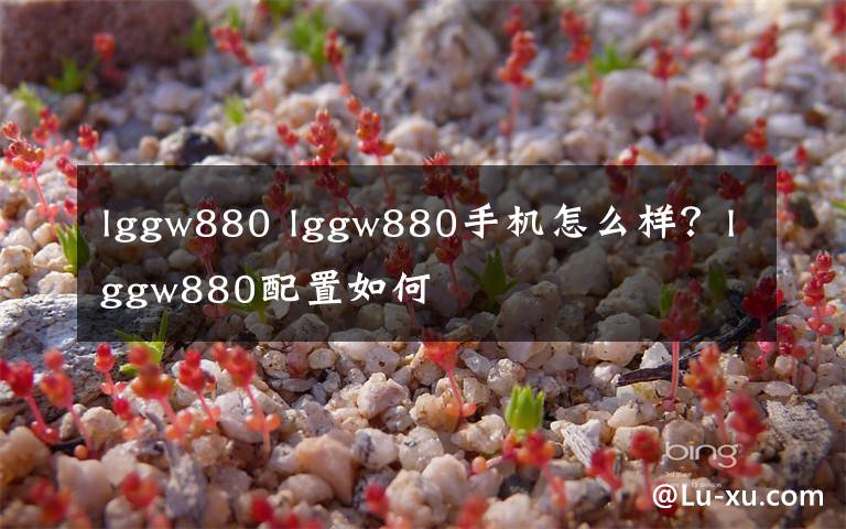 lggw880 lggw880手機怎么樣？lggw880配置如何