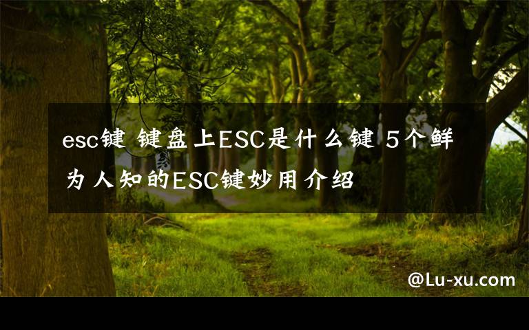 esc鍵 鍵盤上ESC是什么鍵 5個鮮為人知的ESC鍵妙用介紹