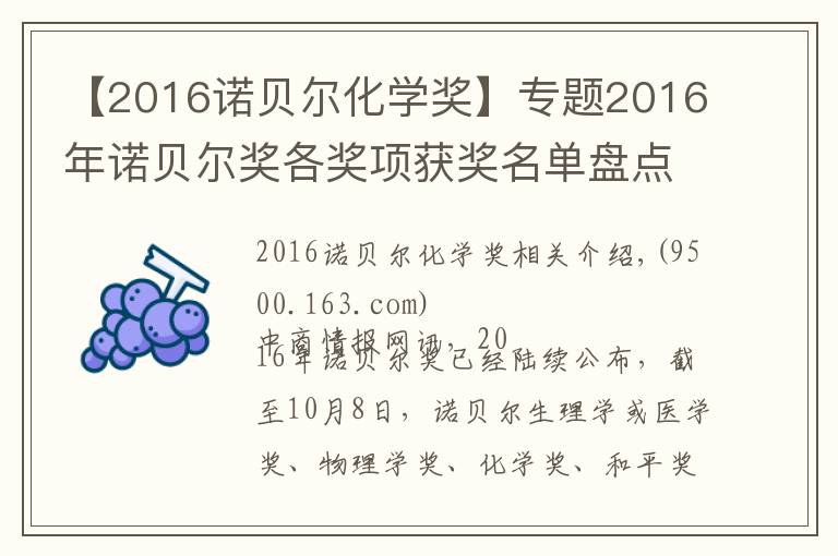 【2016諾貝爾化學(xué)獎】專題2016年諾貝爾獎各獎項獲獎名單盤點