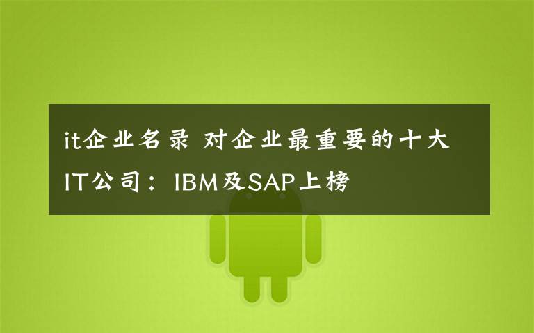 it企業(yè)名錄 對企業(yè)最重要的十大IT公司：IBM及SAP上榜