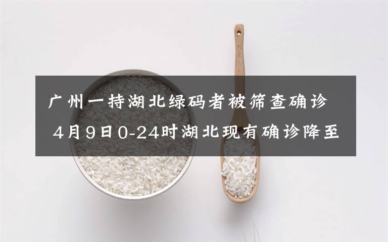 廣州一持湖北綠碼者被篩查確診 4月9日0-24時(shí)湖北現(xiàn)有確診降至400例以下