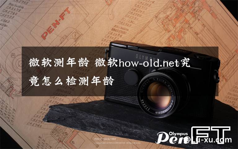 微軟測年齡 微軟how-old.net究竟怎么檢測年齡