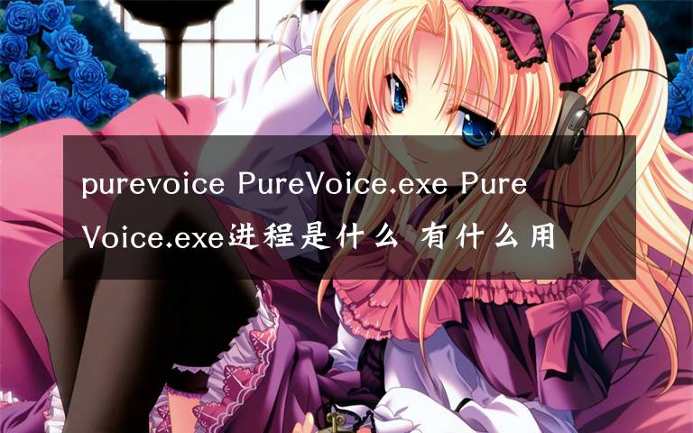 purevoice PureVoice.exe PureVoice.exe進程是什么 有什么用