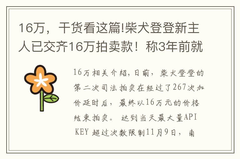 16萬，干貨看這篇!柴犬登登新主人已交齊16萬拍賣款！稱3年前就開始關(guān)注它