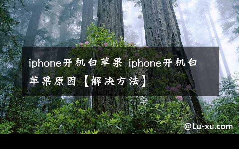 iphone開機(jī)白蘋果 iphone開機(jī)白蘋果原因【解決方法】