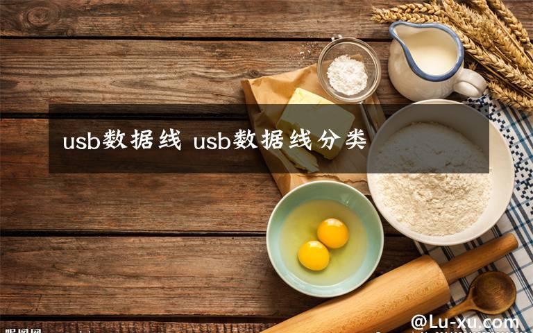 usb數(shù)據(jù)線 usb數(shù)據(jù)線分類