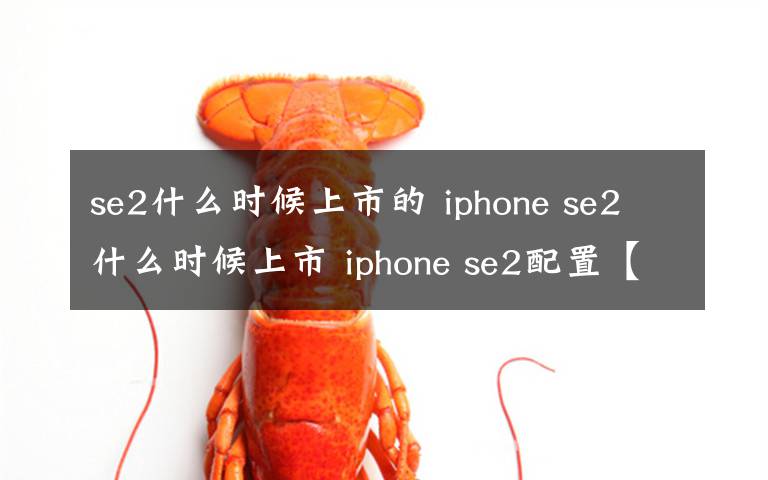 se2什么時候上市的 iphone se2什么時候上市 iphone se2配置【詳解】