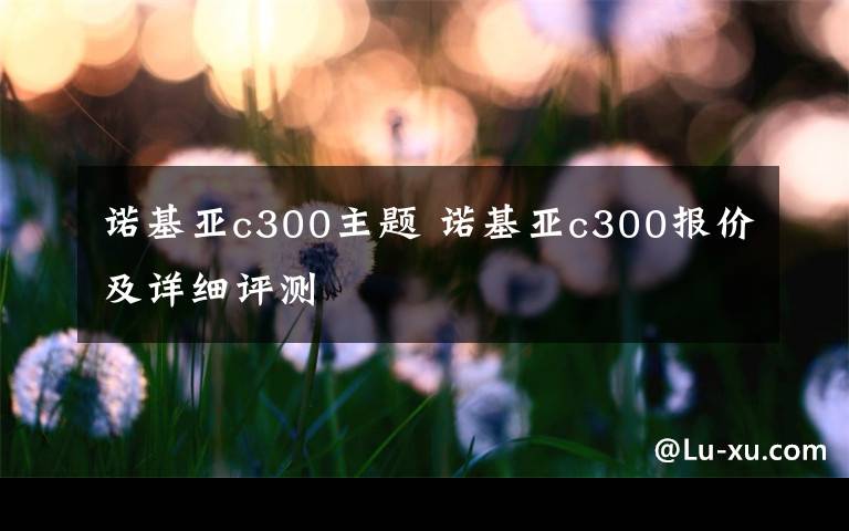 諾基亞c300主題 諾基亞c300報(bào)價(jià)及詳細(xì)評(píng)測(cè)