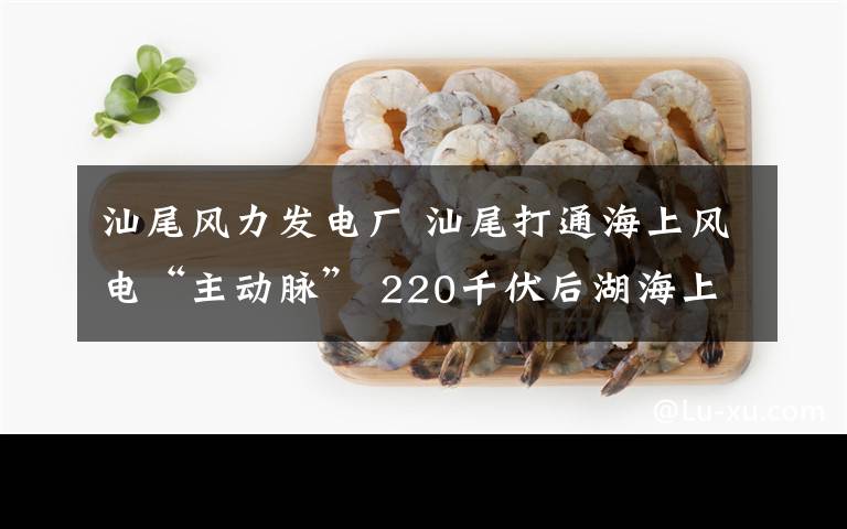 汕尾風力發(fā)電廠 汕尾打通海上風電“主動脈” 220千伏后湖海上風電場接入系統(tǒng)工程投產(chǎn)