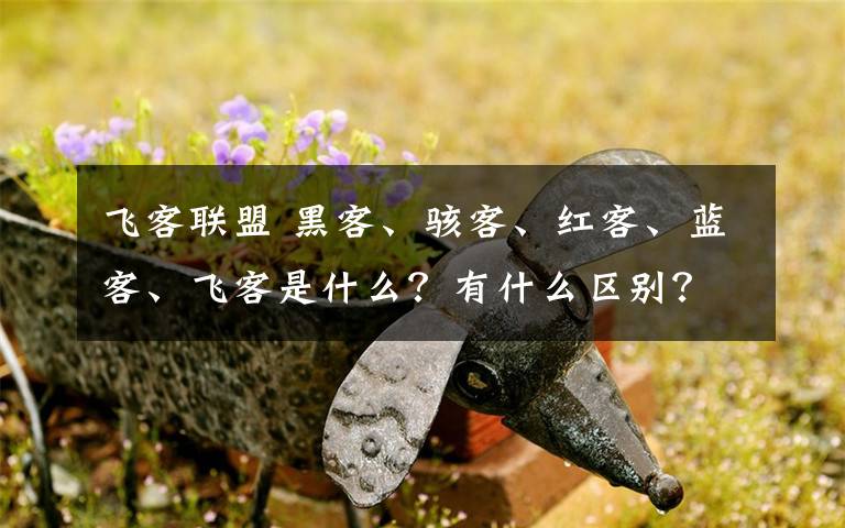 飛客聯(lián)盟 黑客、駭客、紅客、藍(lán)客、飛客是什么？有什么區(qū)別？