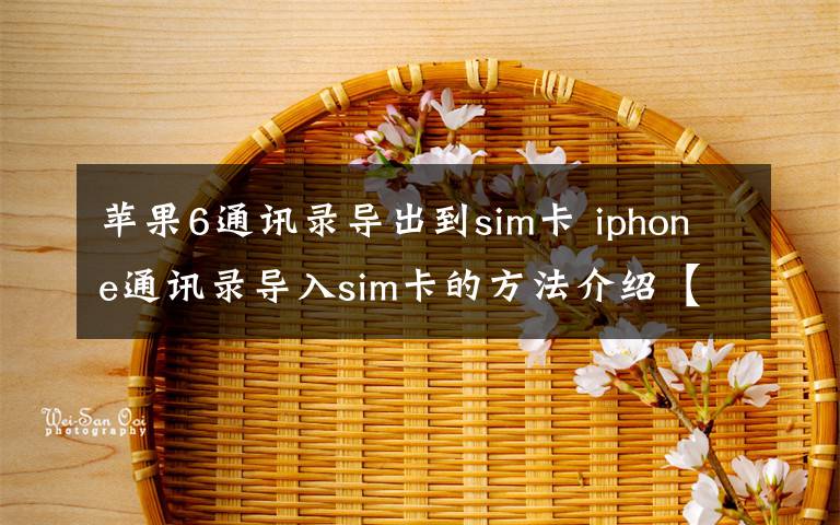 蘋果6通訊錄導(dǎo)出到sim卡 iphone通訊錄導(dǎo)入sim卡的方法介紹【圖文】