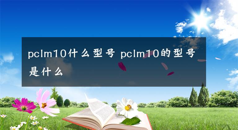 pclm10什么型號(hào) pclm10的型號(hào)是什么