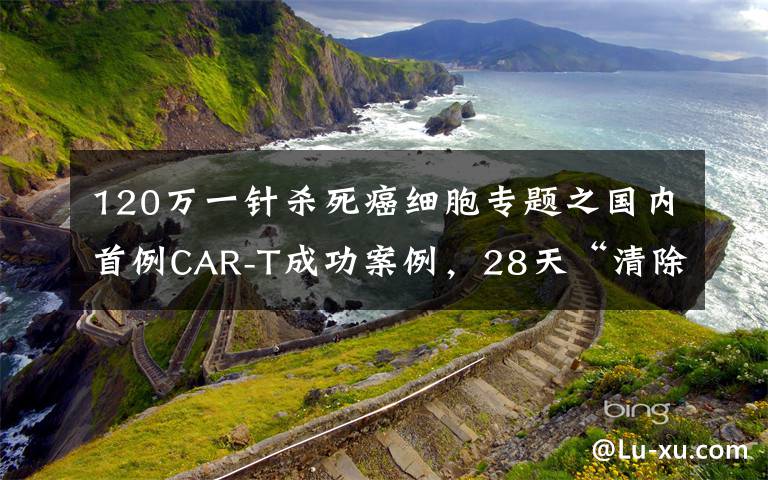 120萬一針殺死癌細胞專題之國內(nèi)首例CAR-T成功案例，28天“清除”癌細胞，120萬一針值得嗎？