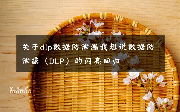 關(guān)于dlp數(shù)據(jù)防泄漏我想說(shuō)數(shù)據(jù)防泄露（DLP）的閃亮回歸