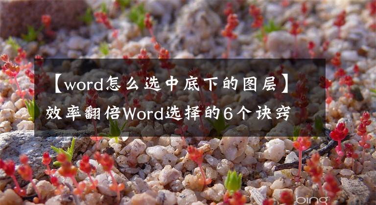 【word怎么選中底下的圖層】效率翻倍Word選擇的6個(gè)訣竅