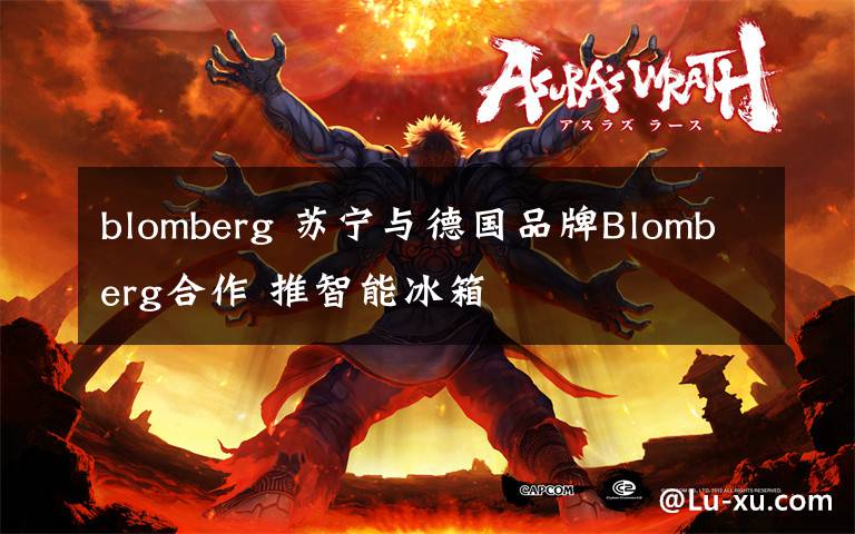 blomberg 蘇寧與德國品牌Blomberg合作 推智能冰箱