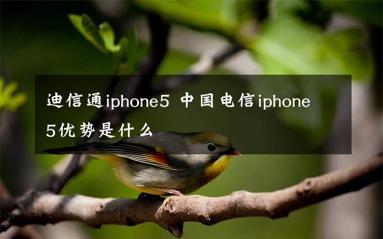 迪信通iphone5 中國電信iphone5優(yōu)勢是什么