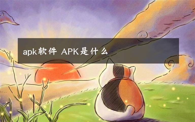 apk軟件 APK是什么