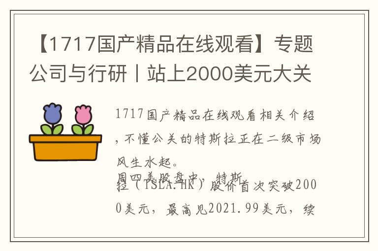 【1717國產(chǎn)精品在線觀看】專題公司與行研丨站上2000美元大關(guān)的“中概股”特斯拉