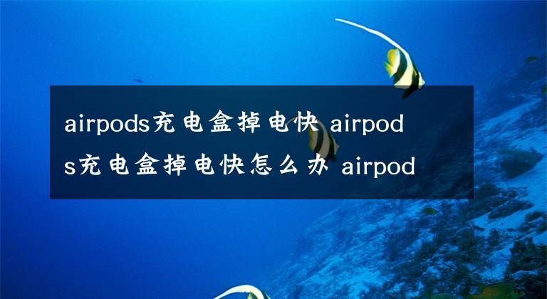 airpods充電盒掉電快 airpods充電盒掉電快怎么辦 airpods充電盒掉電很快