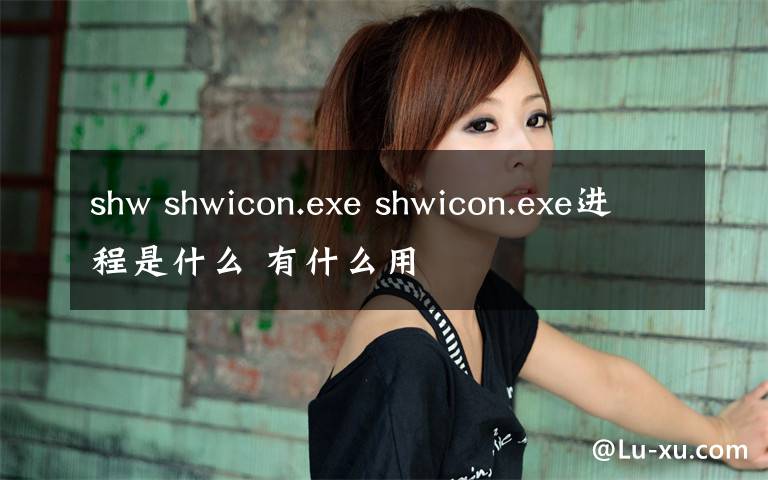 shw shwicon.exe shwicon.exe進程是什么 有什么用