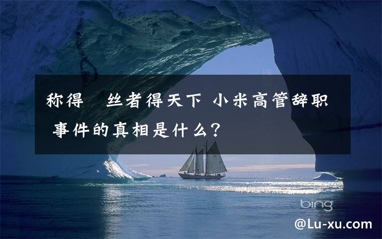 稱得屌絲者得天下 小米高管辭職 事件的真相是什么？