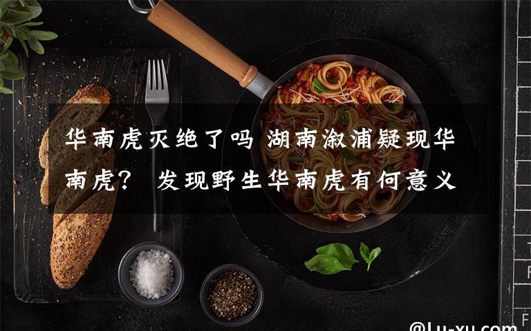 華南虎滅絕了嗎 湖南溆浦疑現(xiàn)華南虎？ 發(fā)現(xiàn)野生華南虎有何意義