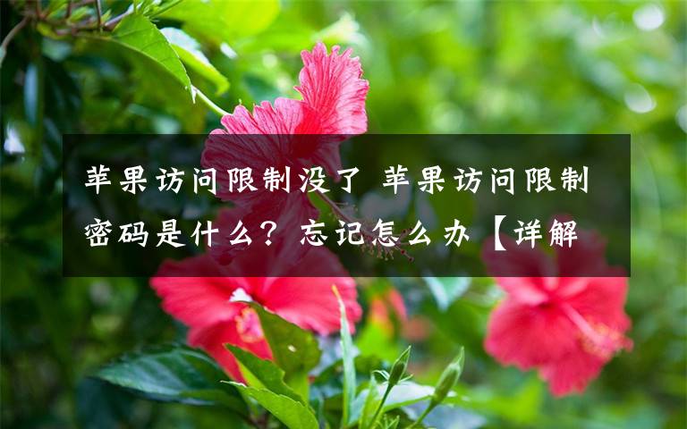 蘋果訪問限制沒了 蘋果訪問限制密碼是什么？忘記怎么辦【詳解】