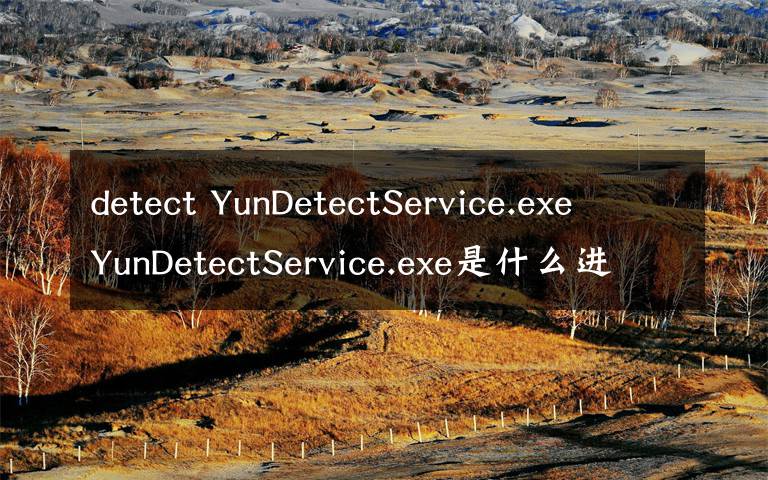 detect YunDetectService.exe YunDetectService.exe是什么進(jìn)程 有什么用