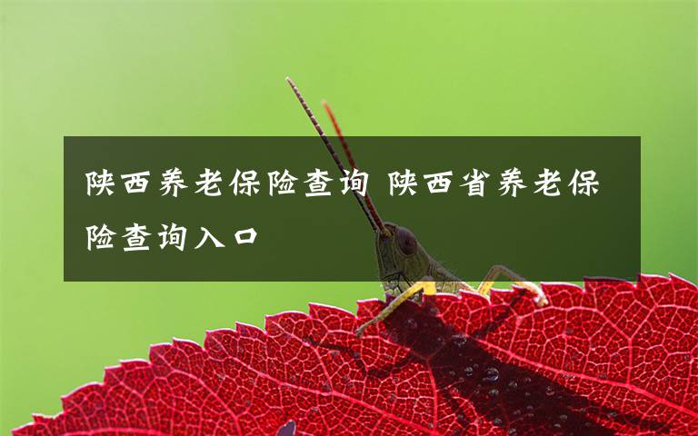 陜西養(yǎng)老保險(xiǎn)查詢 陜西省養(yǎng)老保險(xiǎn)查詢?nèi)肟?></a></div>
              <div   id=