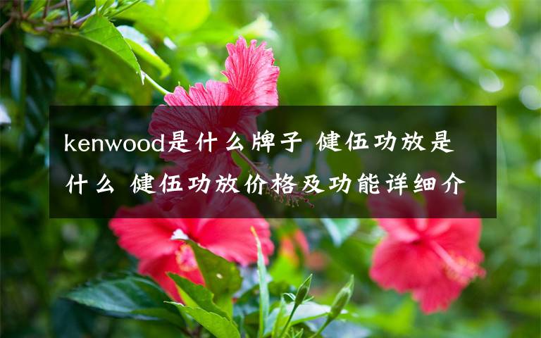 kenwood是什么牌子 健伍功放是什么 健伍功放價(jià)格及功能詳細(xì)介紹【圖文詳解】