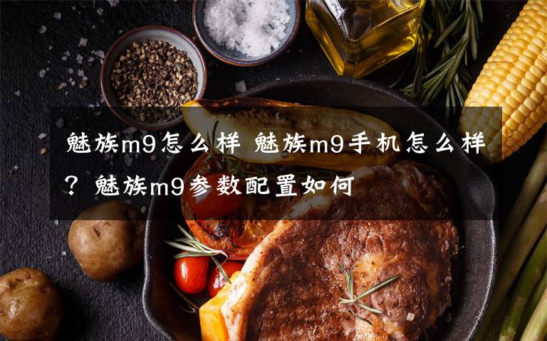 魅族m9怎么樣 魅族m9手機怎么樣？魅族m9參數(shù)配置如何