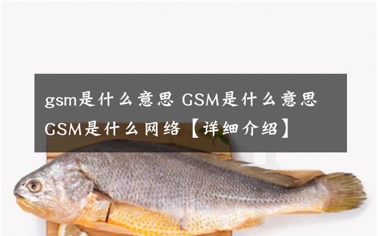 gsm是什么意思 GSM是什么意思 GSM是什么網(wǎng)絡(luò)【詳細(xì)介紹】