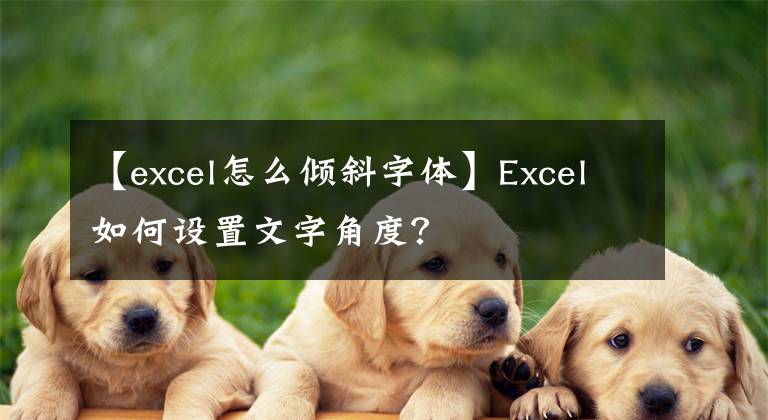 【excel怎么傾斜字體】Excel如何設(shè)置文字角度？