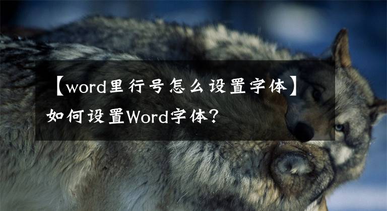 【word里行號(hào)怎么設(shè)置字體】如何設(shè)置Word字體？