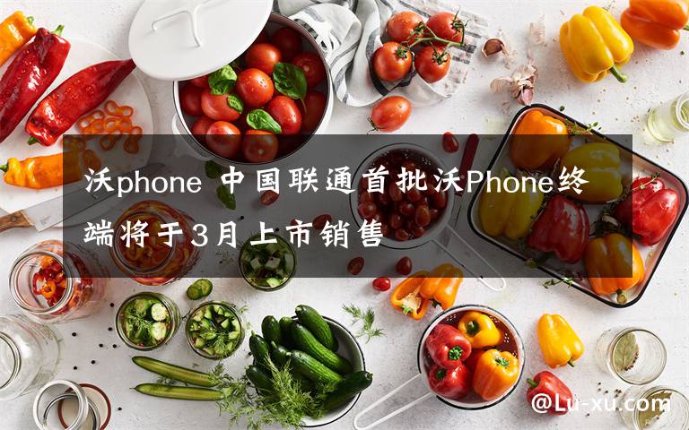 沃phone 中國聯(lián)通首批沃Phone終端將于3月上市銷售