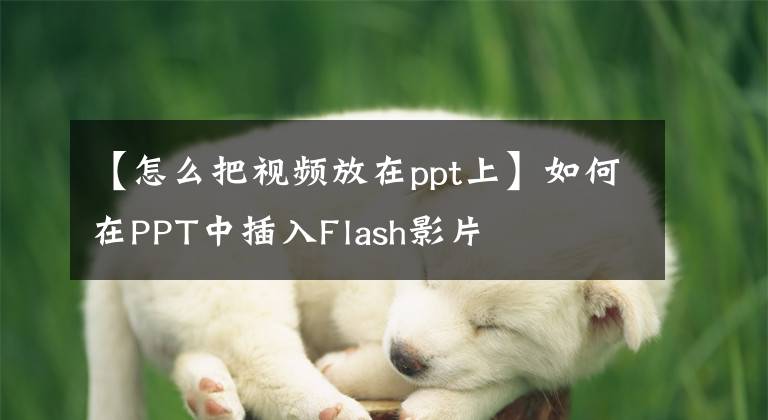 【怎么把視頻放在ppt上】如何在PPT中插入Flash影片