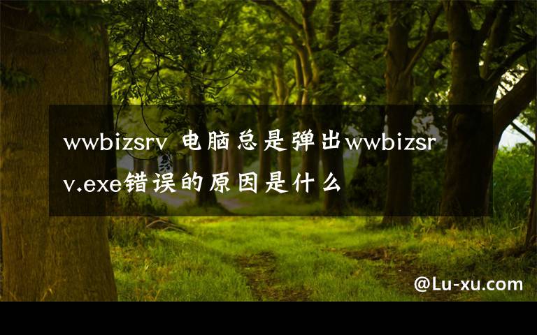 wwbizsrv 電腦總是彈出wwbizsrv.exe錯誤的原因是什么