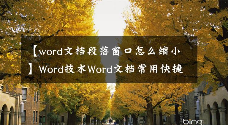 【word文檔段落窗口怎么縮小】Word技術(shù)Word文檔常用快捷鍵