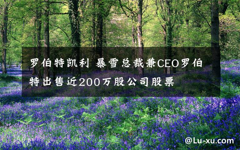 羅伯特凱利 暴雪總裁兼CEO羅伯特出售近200萬股公司股票